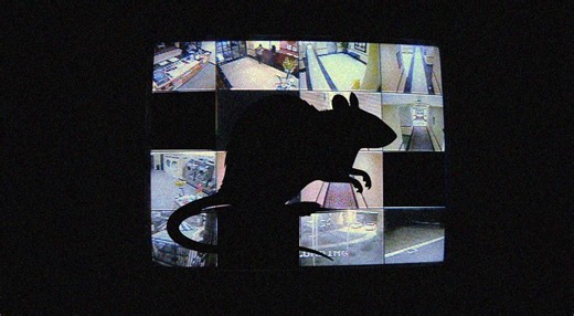 RATs can sniff out your Chinese-made web cameras: here’s how to defend yourself | Cybernews