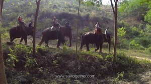 8.5K views · 404 reactions | Join us for a 9 days SAILING CRUISE in Thailand starting from Phuket (April 1st till 9th). Book now and be part of a cosmopolitan group for this cool adventure. we will be small flotilla and each sailing yacht will accommodate 12 pax max... check the details! | Sailtogether.com | Facebook