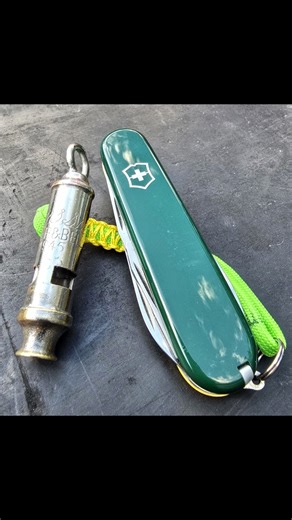 Swiss army knife green and gold Spartan