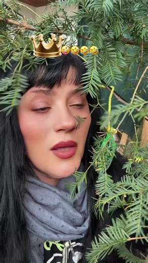 Exploring Beograd at Night: A Nostalgic Journey