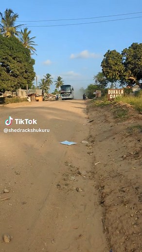 Explore Ally's Star Luxury Sleeper Bus Experience