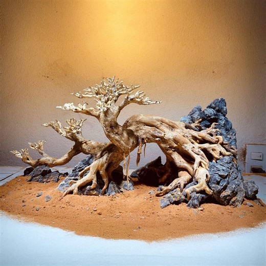 Natural Driftwood Bonsai Tree Aquarium Aquascape Tree Plant Fish Tank Decoration - Etsy