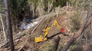 52K views · 687 reactions |  Shovel Logging  Wir wünschen einen Guten Rutsch ins neue Jahr 2️⃣0️⃣2️⃣4️⃣﫡 Und sagen DANKE an Freunde und Firmen, die diese Aufnahmen möglich machen! ‍♂️ | Harvester Forwarder & More | Facebook