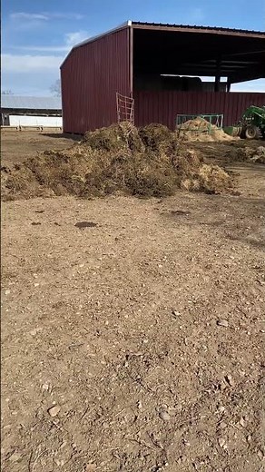 Cleaning up cow poop in our barn.