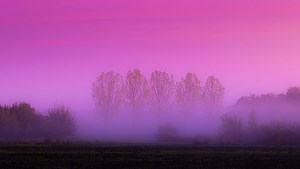 Using the Rule of Odds in Landscape Compositions