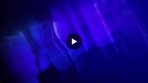 ÄIO's Palm Oil Alternatives Reduce Deforestation | Globalive Media posted on the topic | LinkedIn