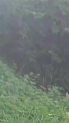 Same Difference on Reels