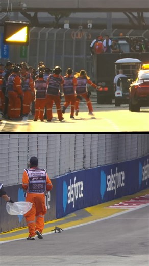 The Singapore lizard was so iconic, even the marshals were recreating the moves on Sunday 😅🦎 #F1 #Formula1 #SingaporeGP | F1