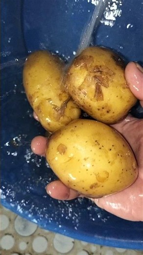 Here is how to store potatoes that do not sprout for a year. #kitchenhacks #homecookingsecrets #f...