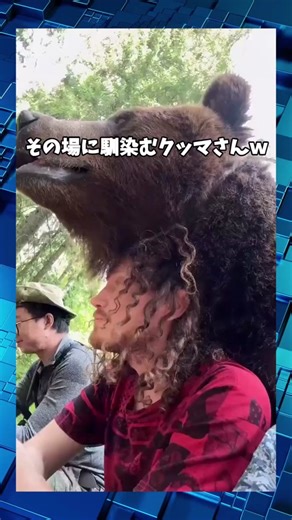 #funnyvideos #おもしろ動画 #ペットのいる暮らし #ほっこり動画