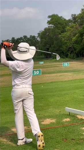 Iron swing test