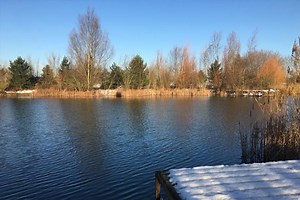 Crowsheath Fishery, Billericay | Fishery Guide