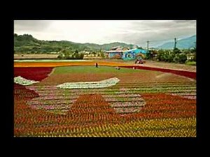 ANDY WILLIAMS - MORE 1962