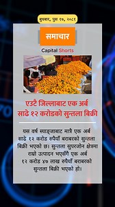 एउटै जिल्लाबाट एक अर्ब साढे १२ करोडको सुन्तला बिक्री | Capital Nepal