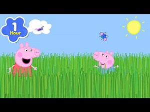 Peppa Wutz & Schorsch spielen Hide & Seek im Gras 😲 Peppa-Wutz Volle Episoden | Cartoons für Kinder