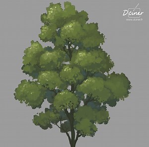 Dessiner et peindre un arbre | Apprendre à dessiner