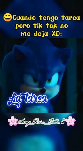 Sonic the Hedgehog | Shadamy Love Story