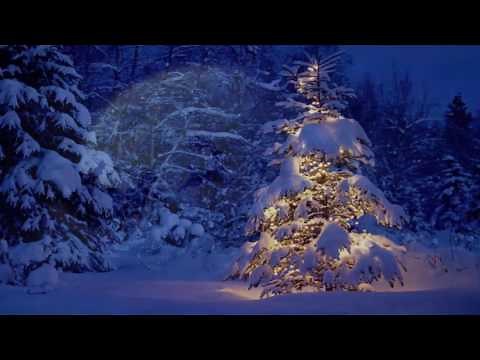 Những Bản Nhạc Giáng Sinh Không Lời Giai Điệu Vui Tươi - Noel/Giáng Sinh/Christmas