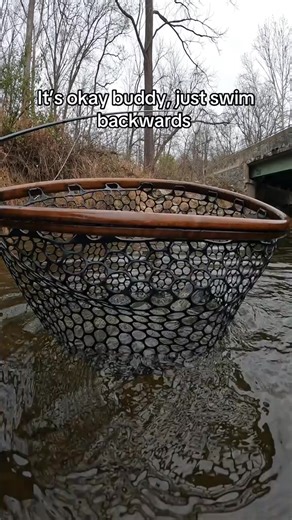 Go back and tell all your friends I practice catch & release. ##catchandrelease | Flyfishdelawhere