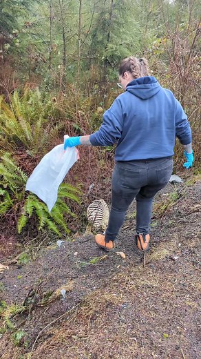 typical mom stuff #bones #bonehunting #skulls #oddities