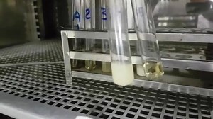 13 reactions | Determination of Minimum Inhibitory Concentration (MIC) by broth dilution Methods | Iraqi Medical Laboratory Association | Facebook