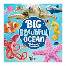 Kidsbooks Publishing