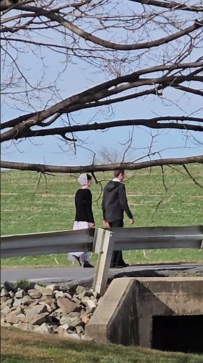 The Courtship Walk | Old Order Mennonite Weddings #shorts