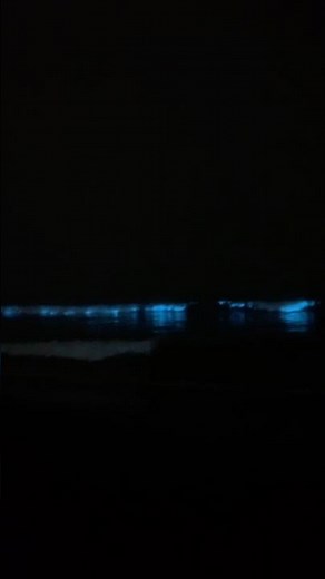 夜光虫を見に行きました🤩🌊霧が🌁凄くて！茅ヶ崎のサザンビーチには、沢山の人が海岸で幻想的な風景に魅入っていました😍街も霧に包まれてふしぎな雰囲氣の夜でした🌔
