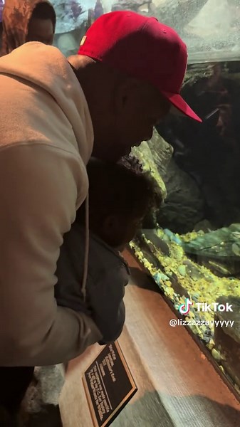 Exploring Fish at the Zoo: Fun Animal Encounters