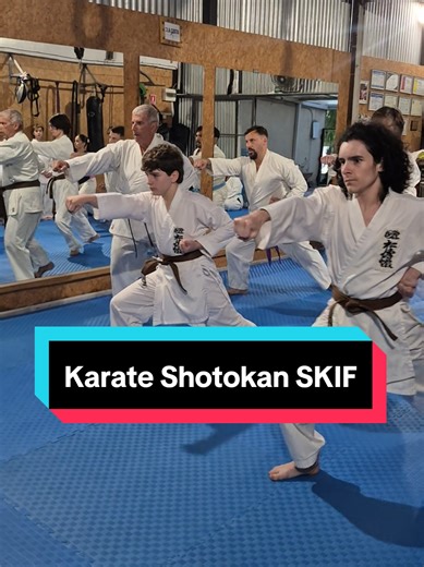 Kihon SKIF Karate Training in Uruguay
