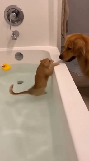 Crazy!! | Chris and Christie fam