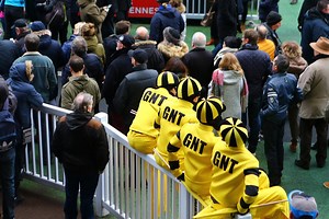 Quinté : Les infos des réunions hippiques du mercredi 17 juin