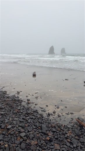 Haystack Rock Awareness Program on Reels