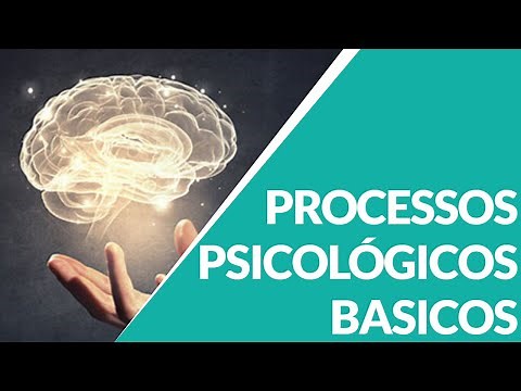 PROCESSOS PSICOLOGICOS BASICOS