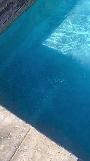 Troubleshooting Air Bubbles in Pool: Causes and Solutions