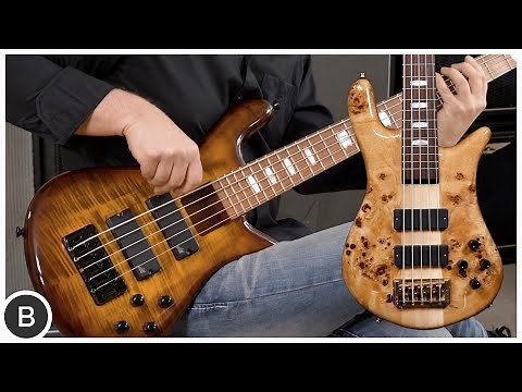 SPECTOR BASSES // EURO LX5 vs. BOLT ON