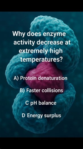QUIZVERSE on Instagram: "Why does enzyme activity decrease at extremely high temperatures?"