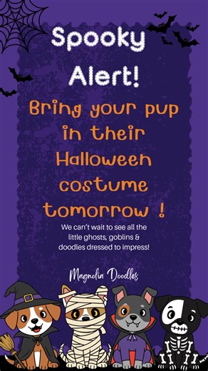 🎃🐾 Spooky, silly, and oh-so-adorable! 👻✨ Tomorrow we’re celebrating Howl-o-ween Magnolia Doodles style! 💕 Bring your pup in their costume and let’s see those little monsters, pumpkins, and superheroes strut their stuff! 🦇🕸️ We can’t wait to capture all the cuteness (and maybe a few zoomies, too 😉). #MagnoliaDoodles #Howloween #SpookyPups #TooCuteToSpook #DogDaycareFun #HalloweenAtMagnolia | Magnolia Doodles