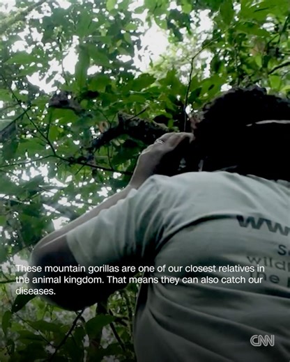 1.9K views | CNN Africa on Reels | Facebook