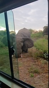 🌍Join a Group Tanzania Safari – Budget & Camping Adventures!** 🦁🏕️ Explore Tanzania’s breathtaking wildlife on a **budget-friendly group safari**! Perfect for solo travelers and small groups looking for an affordable yet unforgettable experience. ✨ **What We Offer:** ✅ **Join a Group Safari** – Meet fellow adventurers & share the experience ✅ **Camping & Budget Safaris** – Affordable & adventurous options ✅ **Wildlife Safari Destinations:** Serengeti, Ngorongoro, Tarangire & Lake Manyara ✅ **