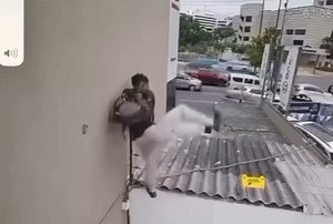 ⚡ MEGA PROMOÇÃO IMPERDÍVEL - (LINK NA BIO) 🔥 20 CERTIFICADOS RECONHECIDOS PELO MEC em Elétrica e Automação com a Autoflix Treinamentos. Veja o que te espera 👇 🚀 Os cursos mais procurados pelas indústrias brasileiras estão aqui! Nunca fizemos nada igual ao que vai acontecer este mês. Quem entrar no nosso Grupo VIP no WhatsApp vai ter acesso ao MAIOR DESCONTO DA HISTÓRIA, garantindo 20 certificados MEC válidos em todo o Brasil. ✅ Acesso vitalício, estude no seu ritmo, sem prazo pra expirar ✅ Fu