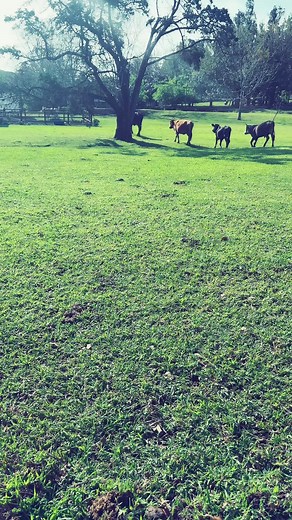 Farm life ❤️❤️