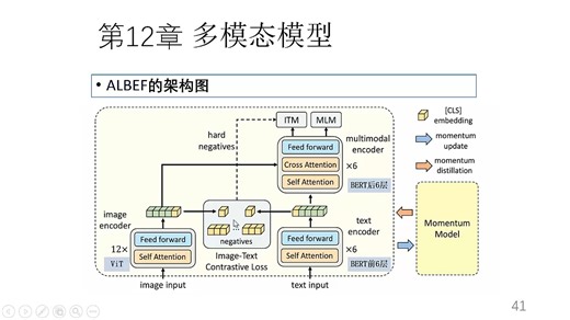 《AIGC原理与实践》第12章 多模态模型--ALBEF和BLIP