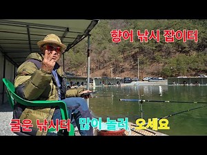 향어 낚시 잡이터 굴운 낚시터 많이 놀러 오세요