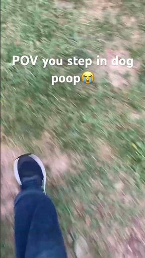 POV you step in dog poop😭