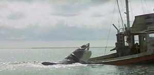 How Jaws ate the horror genre – and has yet to spit it out