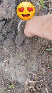 Cool finds. #viral #treasure | GO finder