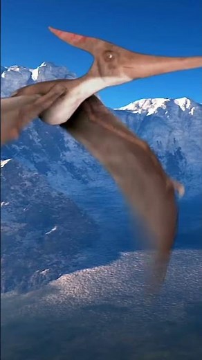 A Living Pterosaur, the Ropen! #cryptids #monster #interestingfacts #scary #myths