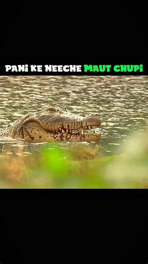 Pani Ke Neeche Maut Chupi 🌊☠️