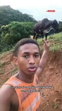 I don't understand cattle.